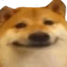 cheemsmile