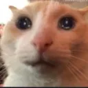 no