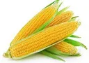 corn2