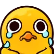 duckysob