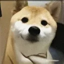 samjhdar