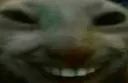 xdd