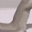dancing_gecko