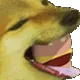 dogBurger1