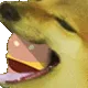 dogBurger3