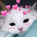 RH_CatLove