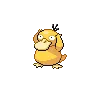 Psyducky