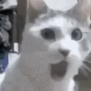 flabberghasted