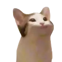 Popcat popcat Discord Emoji