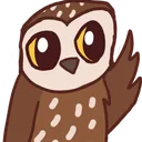 owl_wave