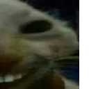 d_