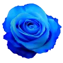s_bluerose Discord Emoji