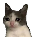 Crying crying Discord Emoji