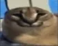 bezuch