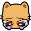 SNCatCry Discord Emoji