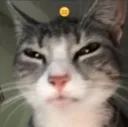 catpagod