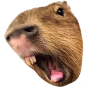 Capyshouta