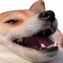 luuuul