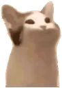 AS_PopCat Discord Emoji