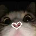 cat_heart