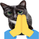 1550prayingcat Discord emoji