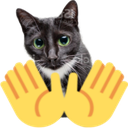 3996backupcat Discord emoji