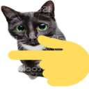 5758pointingleftcat Discord emoji