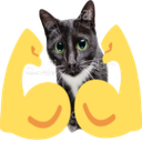 6511strongcat Discord emoji