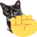 7993fistcat
