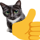 9578thumbsupcat Discord emoji