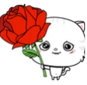 TX_teddyroselelo TX_teddyroselelo
