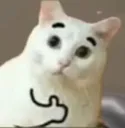 Thumbs Up Cat thumbsupcat Discord Emoji