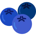 blueberry