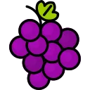 raspberry