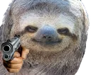 slothGun
