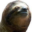 sloth3 Discord emoji