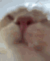 emoji_36