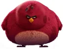 terence