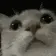 modCheckCat