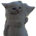 kibbehug
