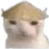 cat Discord Emoji