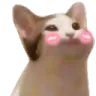 cat Discord Emoji