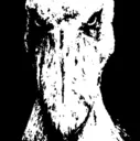 TheKiller