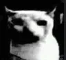 Turbio