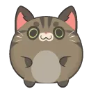 momobounce