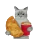 catmunch