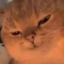 emoji_28