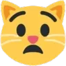 catshock