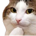 catponder