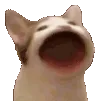 Hyper_Popper